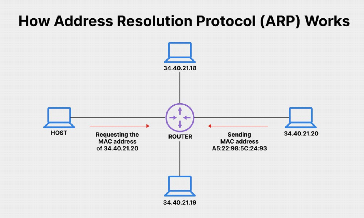 Arp это. ARP протокол. Назначение протокола ARP. ARP Port. ARP-Spoofing.